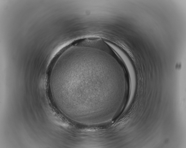 X0000089340724200706221117