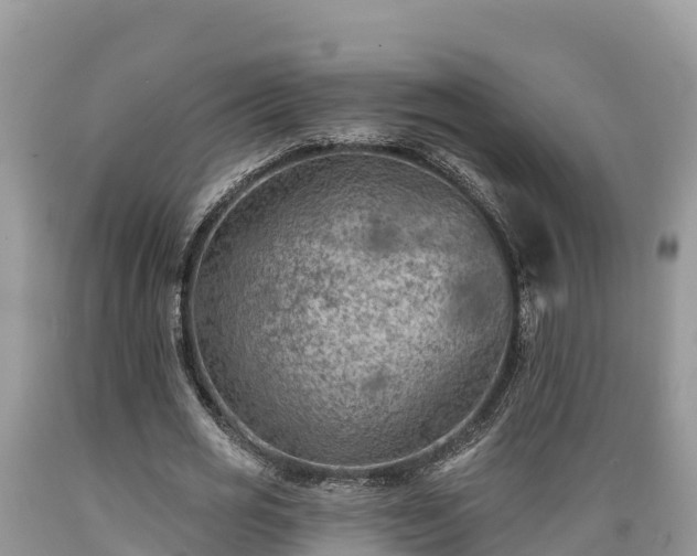 X0000089340725200706221117