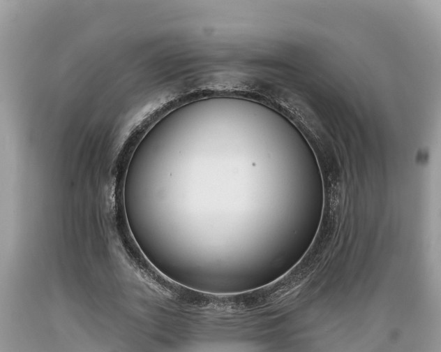 X0000089340727200706221117