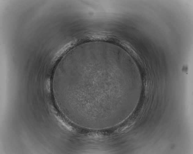 X0000089340729200706221117