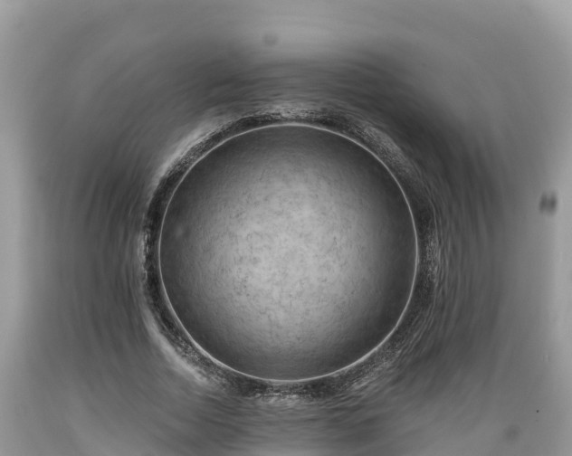 X0000089340730200706221117