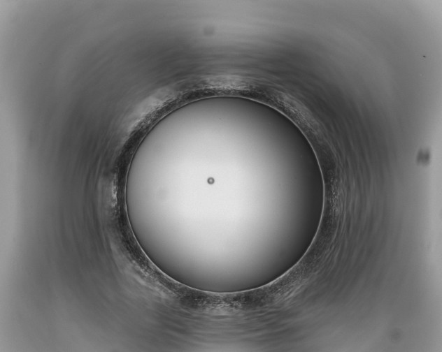 X0000089340731200706221117