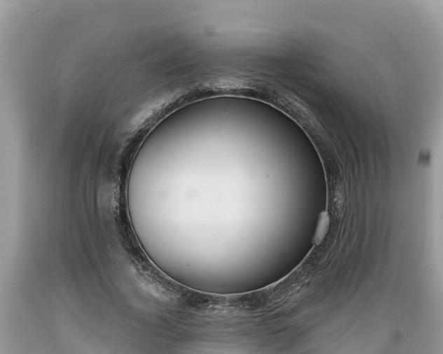 X0000089340732200706221117