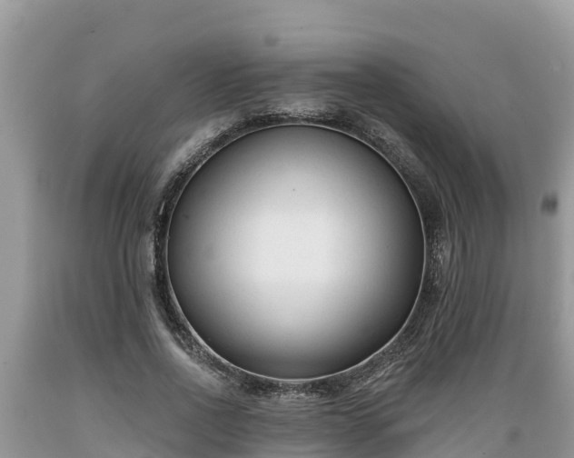 X0000089340734200706221117