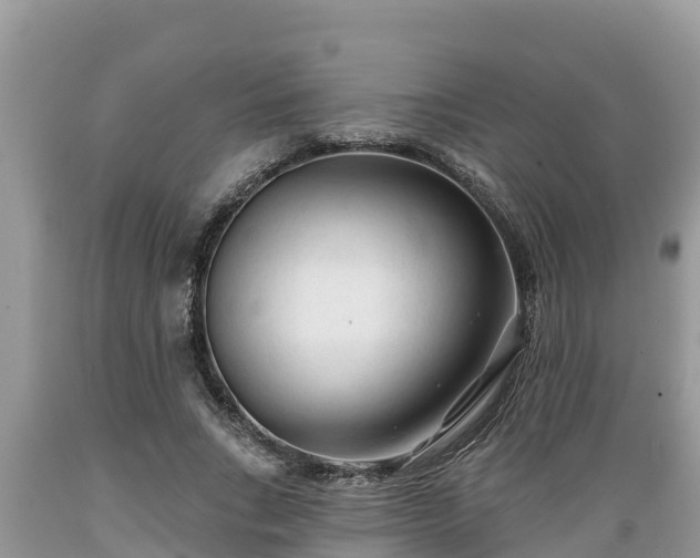 X0000089340735200706221117