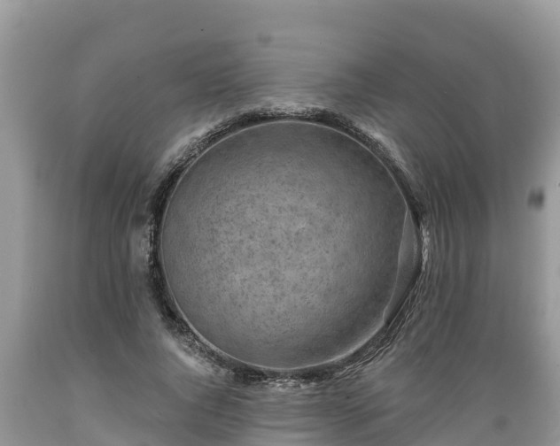 X0000089340736200706221117