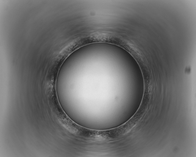 X0000089340737200706221117