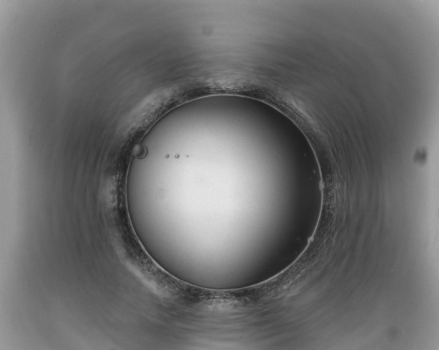 X0000089340738200706221117