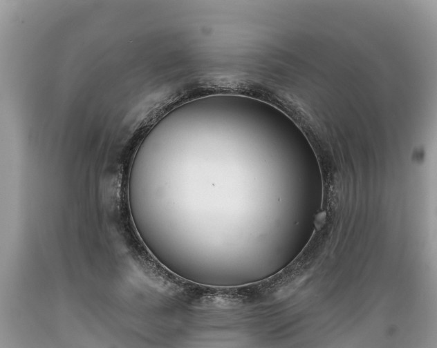 X0000089340739200706221117