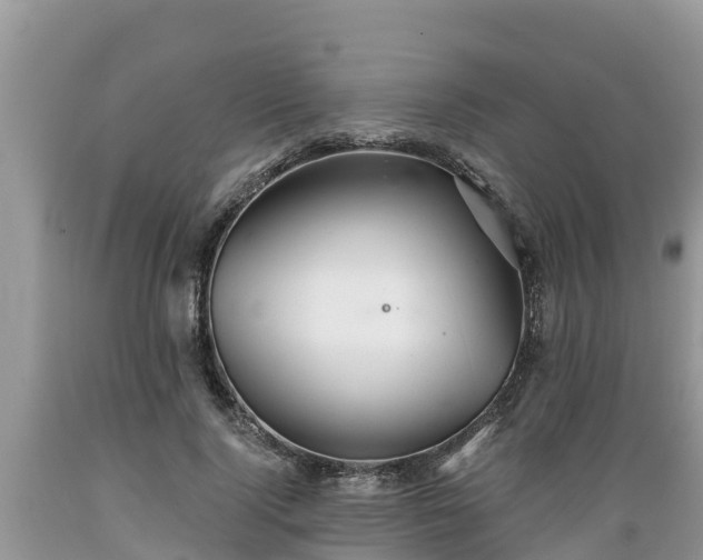 X0000089340740200706221117