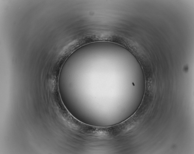 X0000089340741200706221117