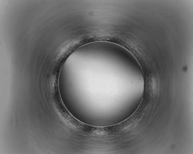 X0000089340742200706221117
