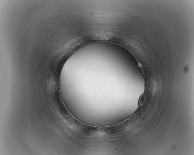 X0000089340743200706221117