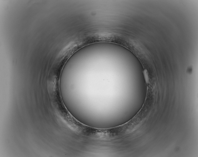 X0000089340744200706221117