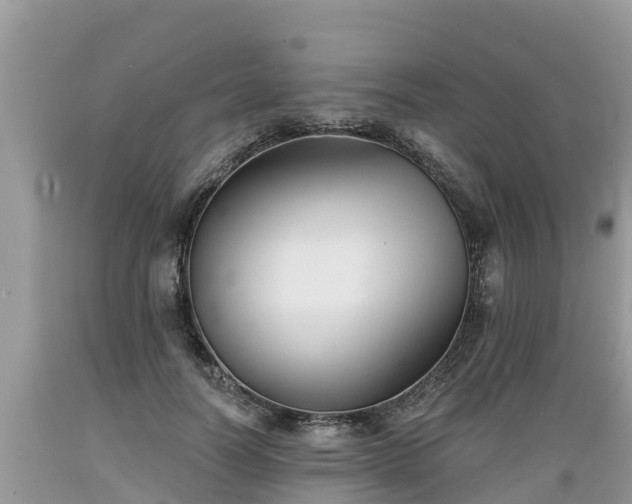 X0000089340746200706221117