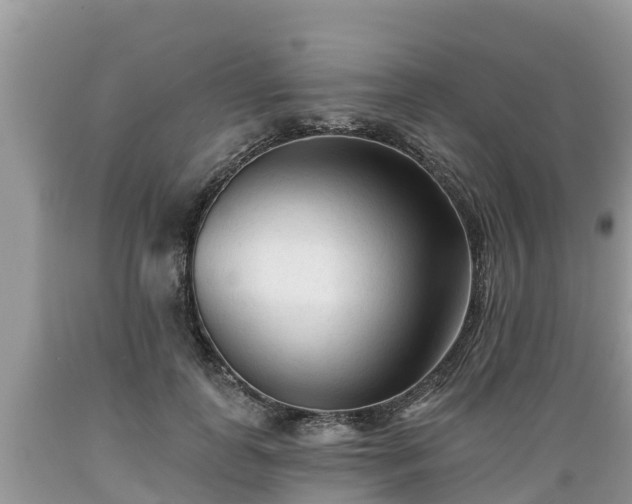 X0000089340747200706221117