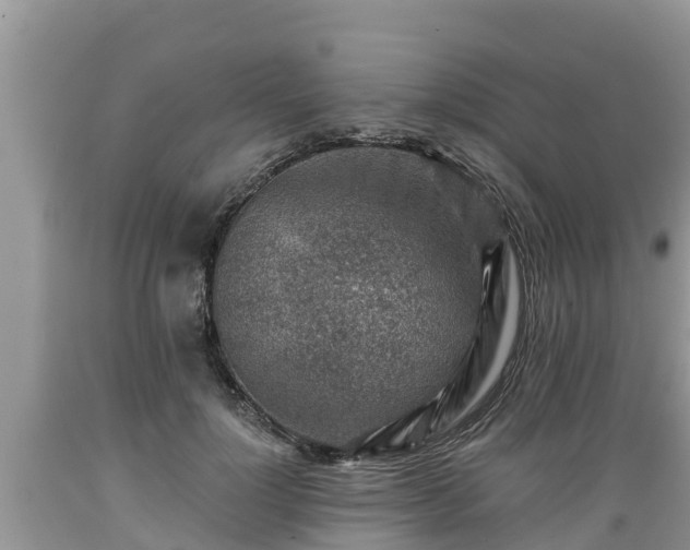 X0000089340748200706221117