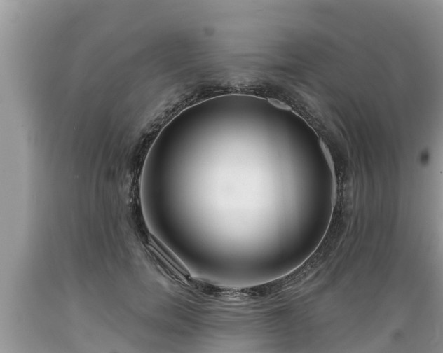 X0000089340750200706221117