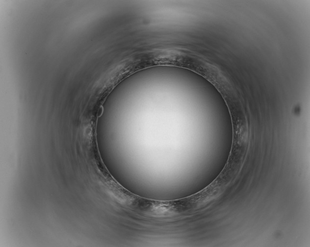 X0000089340753200706221117