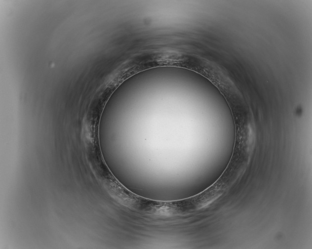 X0000089340755200706221117