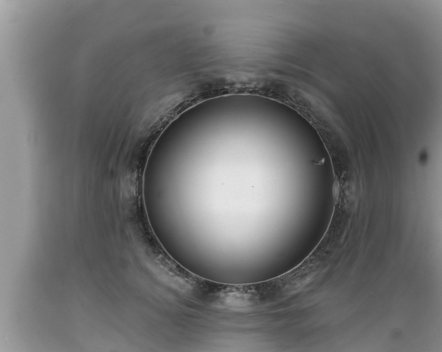 X0000089340756200706221117