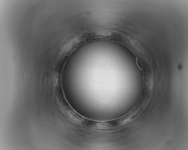 X0000089340758200706221117