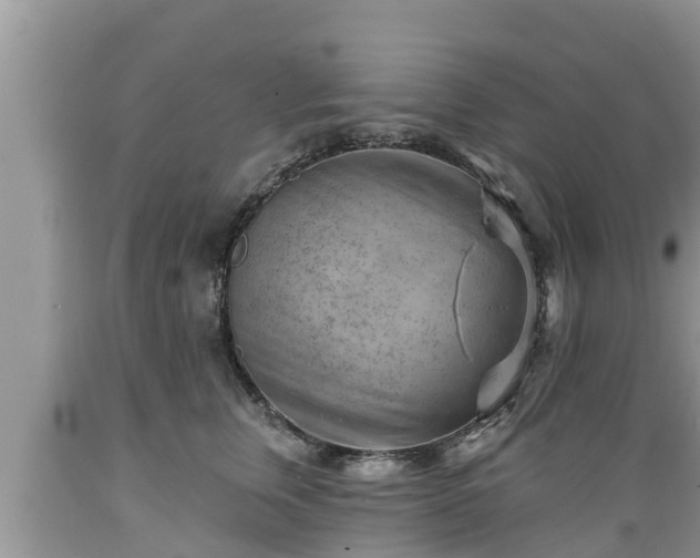 X0000089340759200706221117
