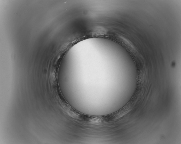 X0000089340761200706221117