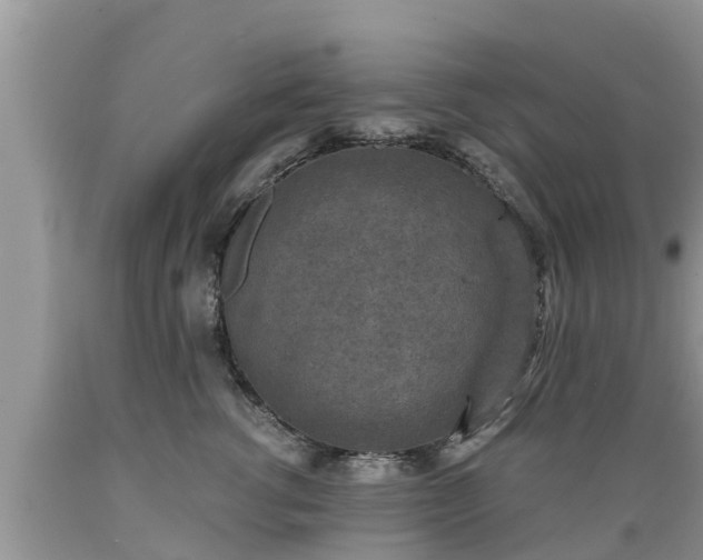 X0000089340762200706221117