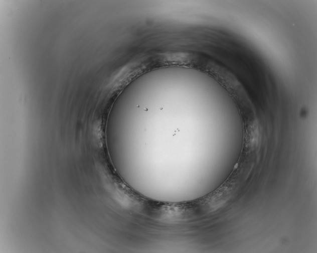 X0000089340764200706221117