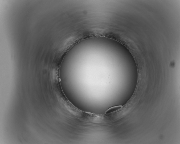 X0000089340768200706221117