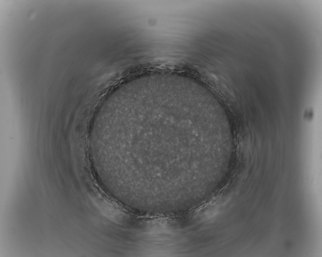 X0000089340769200706221117