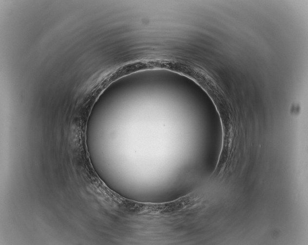 X0000089340773200706221116