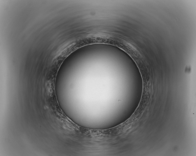 X0000089340774200706221116