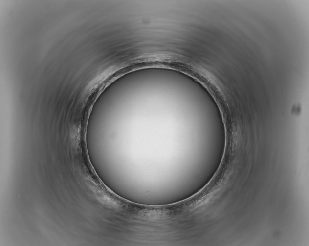 X0000089340778200706221116
