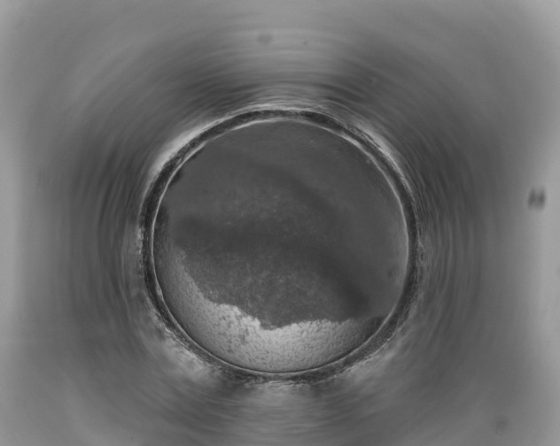 X0000089340779200706221116