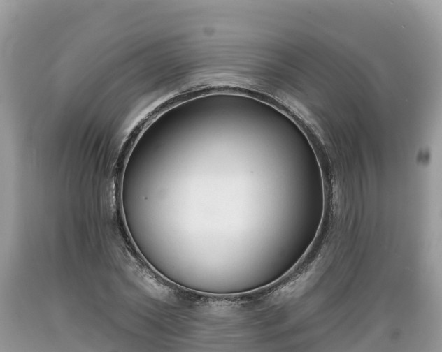 X0000089340782200706221116