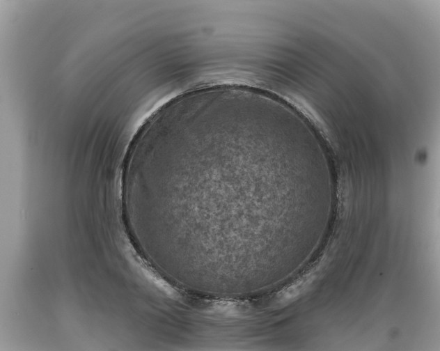 X0000089340790200706221116