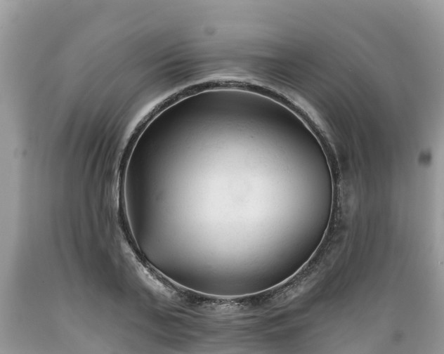X0000089340791200706221116