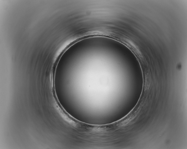 X0000089340796200706221116