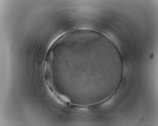 X0000089340798200706221116