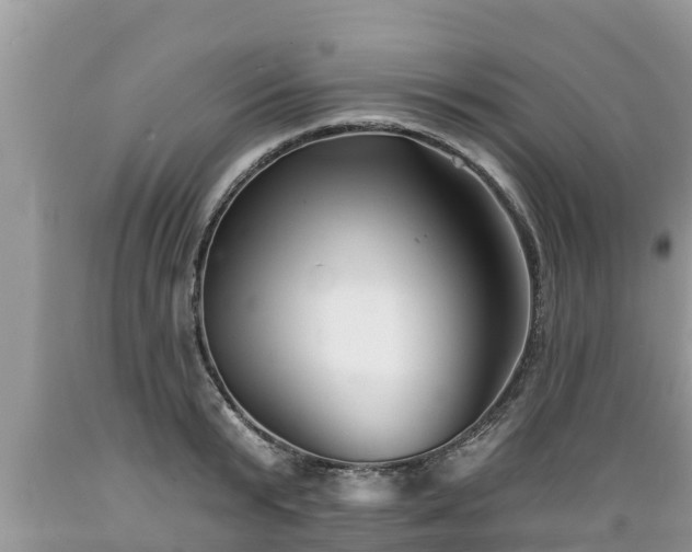 X0000089340799200706221116