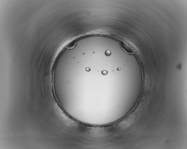 X0000089340800200706221116