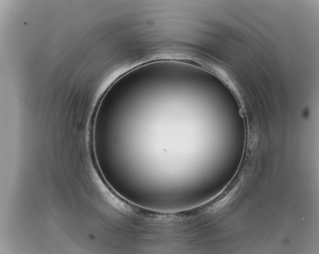 X0000089340803200706221116