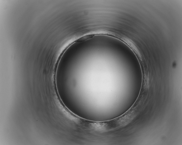 X0000089340805200706221116