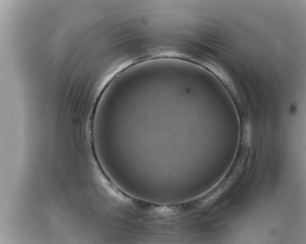 X0000089340806200706221116