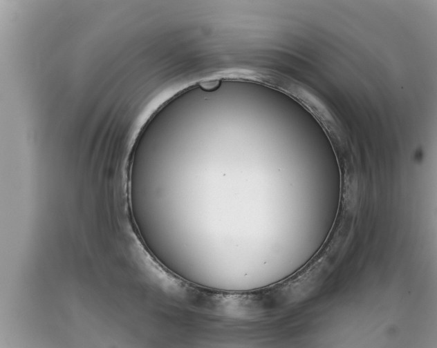 X0000089340808200706221116