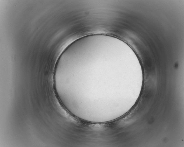 X0000089340810200706221116