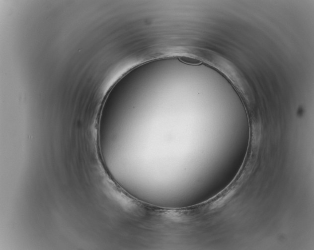 X0000089340814200706221116
