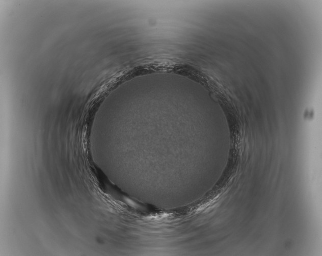 X0000089340818200706221115